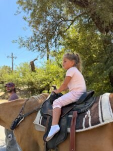 WhatsApp Image 2026-08-19 at 10.16.21